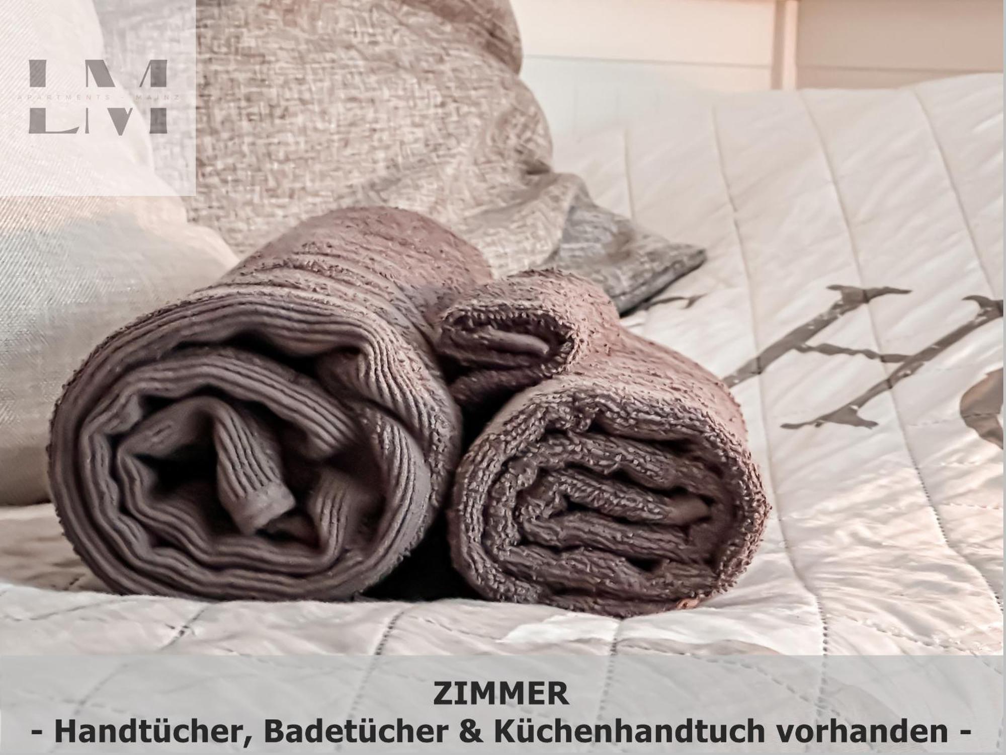Lm-Apartmentsmainz-01 エクステリア 写真